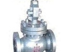 globe-valves-suppliers-in-kolkata